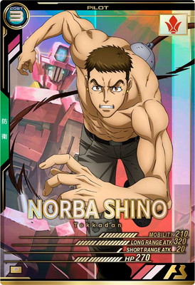 FQ02-066 �Υ�С����� P