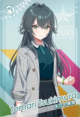 IMT-02-046 ��¼���� R