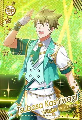 花鳥39 IMT-02-070 柏木 翼 SR | アイドルマスターツアーズ,通常弾,IMT