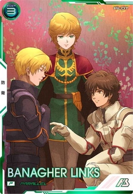 BP04-013 Хʡ󥯥 PPARALLEL