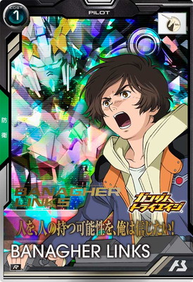 BP06-019 �Хʡ�������󥯥� R 