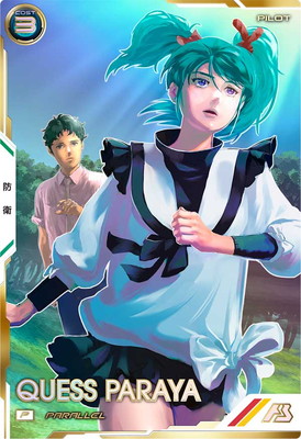 FQB06-020 ���������ѥ�� P��PARALLEL��