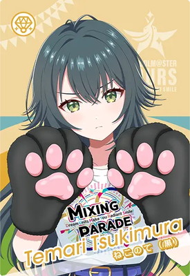 IMT-04-016 ��¼ ���� N