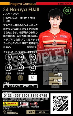 �ڥ�󥯥��å׺Ѥߡۡ�F20-7  045-R�ۥϥ�䡦�ե��� ��2 DC