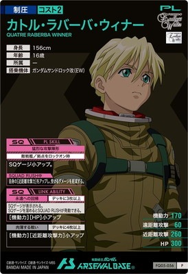 FQ05-056 ȥ롦ССʡ P