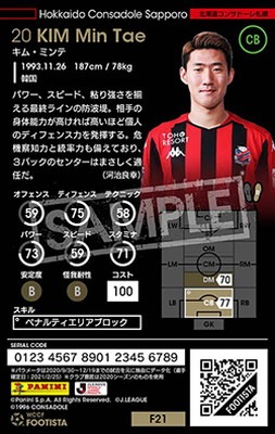 ��F21-6 054�ۥ��ࡦ�ߥ�� ��3 CC