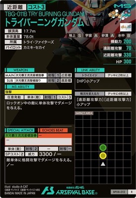 BP08-012 �ȥ饤�С��˥󥰥������ R