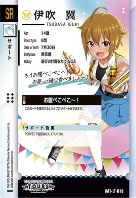 IMT-LT-018 �˿��� SR