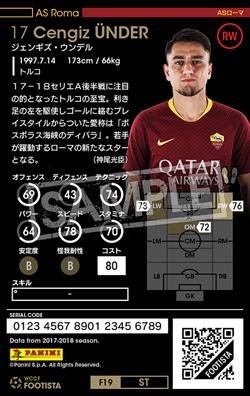 ��F19-1 ST�ۥ����󥮥�������ǥ� ��2 DC