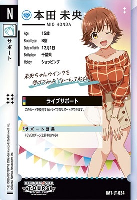 IMT-LT-024 ����̤�� N