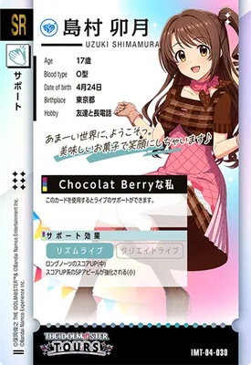 IMT-04-030 ��¼ ���� SR