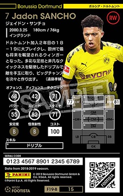 ��F19-8 015�ۥ������ɥ󡦥������ ��3 CC