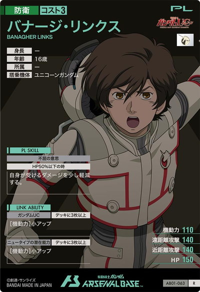 AB01-063 �Хʡ�������󥯥� R