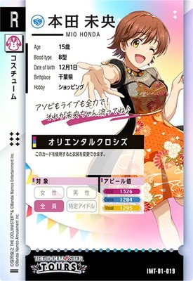 IMT-01-019 ����̤�� R 