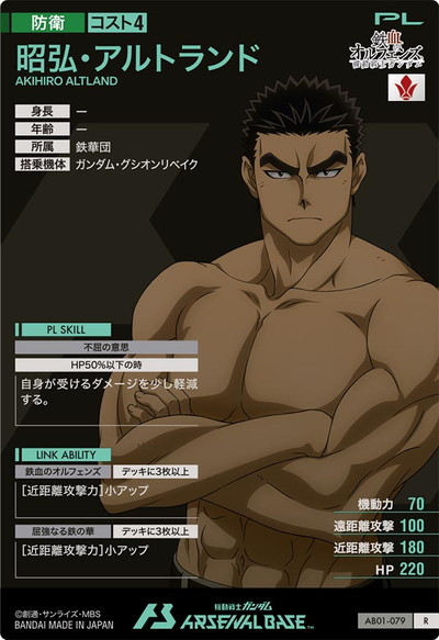 AB01-079 ����������ȥ��� R