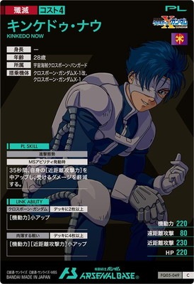 FQ05-049 ���󥱥ɥ����ʥ� C