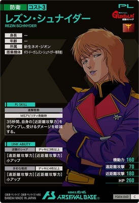 FQ04-043 �쥺�󡦥���ʥ����� C