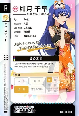 IMT-01-029 ǡ������ R 