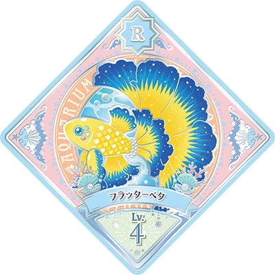 ĥץͥåȡ 6-7 R եå٥