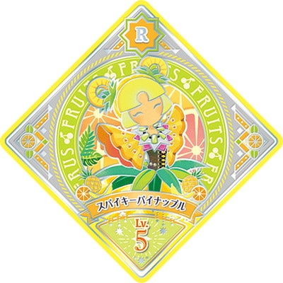 ĥץͥåȡ 6-14 R ѥѥʥåץ