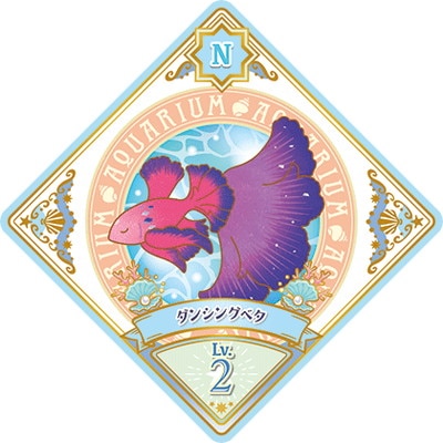 ĥץͥåȡ 6-17 N 󥷥󥰥٥