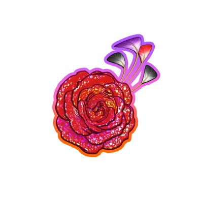 PM5-015 ѥå󥨥ȥåɥ SR