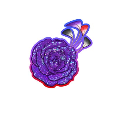 PM5-078 ѥå󥨥ȥѡץ륢 SR