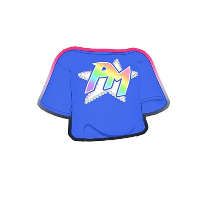 PM2-1-262 �ץ�ޥ���������T����� R
