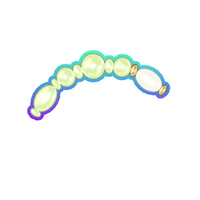 PM2-3-205 塼֥饤ɥۥ磻ȥǥ SR