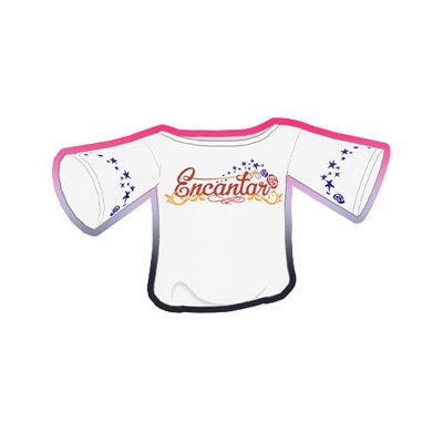 T-047 ���󥫥󥿡���T����� R