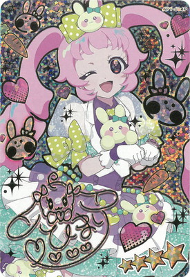 �ڥ����ʰ¡ۡڥѥ����AP1-004P ���塼�ƥ�����ӥå�(�Ҥޤ�) ��4