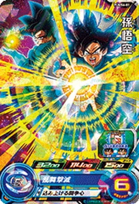 PUMS6-01 ¹�������ʤ���