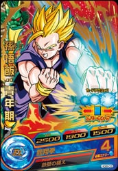 スーパードラゴンボールヒーローズ 孫悟飯 青年期 HR HG8-03 孫悟飯:青年期 R | ドラゴンボールヒーローズ