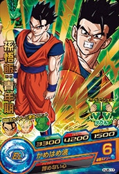 HJ8-17 孫悟飯：青年期 R | ドラゴンボールヒーローズ,ドラゴンボール