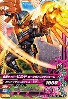 BM6-004 ̥饤ӥ ۡȥ󥰥ե N