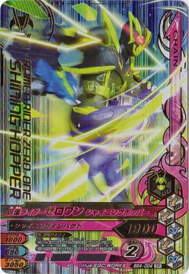 BS4-004 ̥饤 㥤˥󥰥ۥåѡ SR