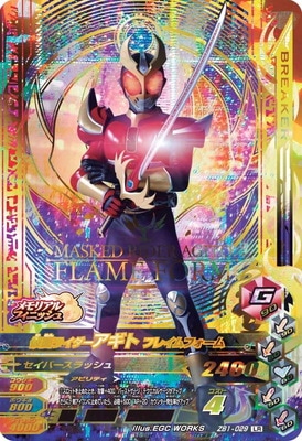 ZB1-029 ̥饤 ե쥤ե LR