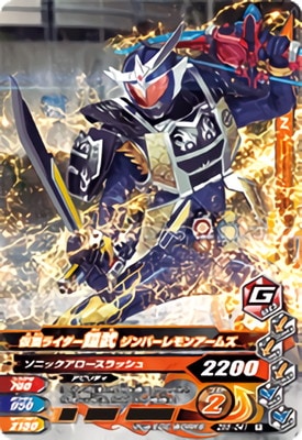 ZB5-041 ̥饤 С󥢡ॺ R