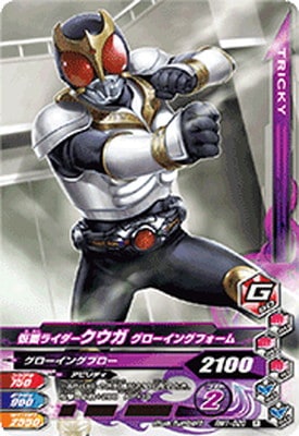 RM1-020 ̥饤 󥰥ե R