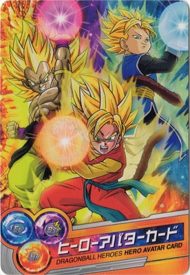 ヒーローアバターカード ドラゴンボールヒーローズ PSES17 [サイヤ人(女)ELタイプver./ヒーロー