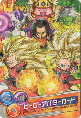 ヒーロー決定戦2014　アバターカード　ドラゴンボールヒーローズ　ドラゴンボール ドラゴンボールヒーローズ ヒーローアバターカード【邪悪龍