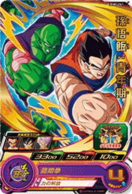 UGM2-041 孫悟飯：青年期 R | ドラゴンボールヒーローズ,スーパー