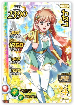 11-046 �쥪�� DR