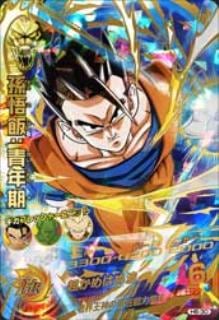 PSA10ѤߡH6-30 ¹ӡǯ UR