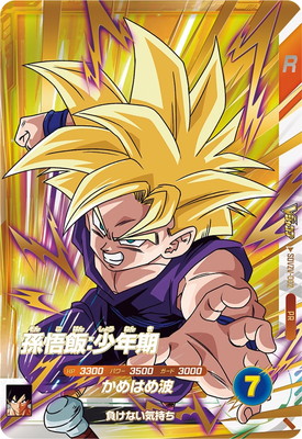 PSA10 希少 ドラゴンボール トランプ 孫悟飯 PSA10 希少