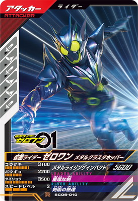 SC06-010 ̥饤 ᥿륯饹ۥåѡ R