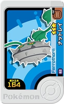 1-5-062 ʥåȥ쥤 [3]