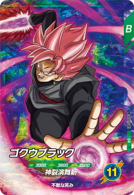 SDV11-041 �������֥�å� SR