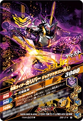 ZB5-014 ���̥饤��������С� ���㥢���ɥ饴��ʸ��͡� N