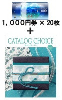 VJA���եȥ�����20��� CATALOG CHOICE ���֥��